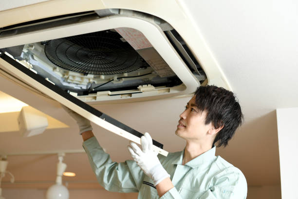 Best Affordable Duct Cleaning Services  in Ripley, TN